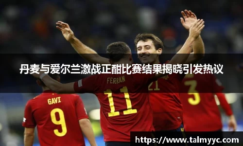 丹麦与爱尔兰激战正酣比赛结果揭晓引发热议