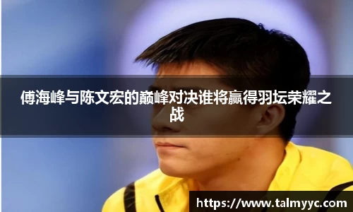 傅海峰与陈文宏的巅峰对决谁将赢得羽坛荣耀之战